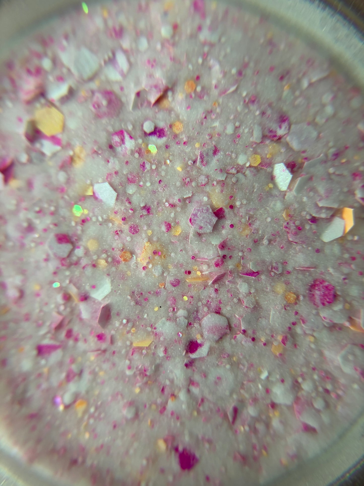 Hollyhock