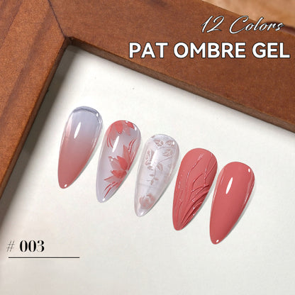 5in1 Pat ombré gel