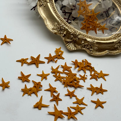 Estrellas de mar